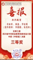 三等奖！金牛师生斩获省级荣誉！