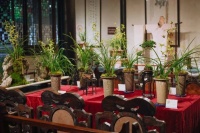 到青浦赴一场“君子之约” 上海曲水园第二届蕙兰展开幕