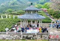 茅盾文学奖得主带民众文化走读 沉浸体会书中杭州