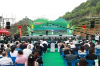 “喊山采茶”“茶”歌大赛 耒阳第二届江头贡茶文化节嗨翻天