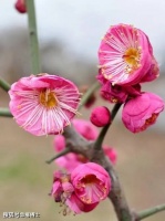 【荐读】5条成长建议，送给一直很努力的你