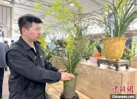 小兰花“吸粉”Z世代 “十亿产值”兰乡再掀新消费