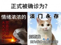 “淡人vs浓人”……这是什么2024年最新人设？