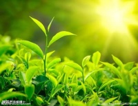 【荐读】人生，向着希望，活出精彩