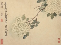 恽寿平的花世界