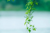 夜读 | 工作越是不尽责的人，越爱把这3句话挂在嘴边