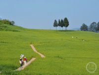 “春影”（313） | 上游主题摄影征稿作品展——程地英作品