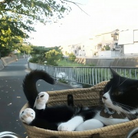 “低谷时，拿一句去救赎自己”