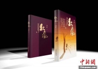 大变局下的职场人生 长篇小说《秋疯》首发