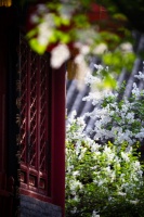 丁香诗会 | 600万元消费券来了！开启“丁香消费季”！