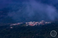 “春影”（321） | 上游主题摄影征稿作品展——陈薇作品