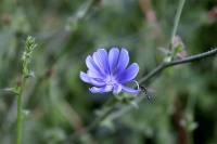 诗词丨人随春好花烂漫，春与人宜自安然