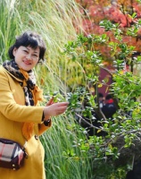 上海县一直没有修筑城墙，你知道是为什么吗？丨闵行情