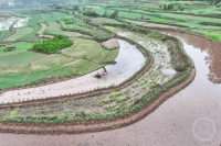 “春影”（326） | 上游主题摄影征稿作品展——秦廷富作品