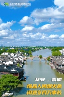 早安青浦｜慢品人间烟火色，闲观岁月万事长