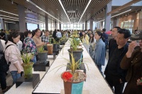 蕙兰幽香誉神州 铁路帮扶助振兴