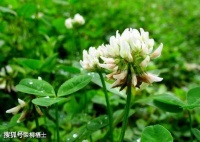 生活不会辜负用心的人