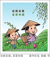 （图表·漫画）诗意节令丨谷雨谷雨，采茶对雨