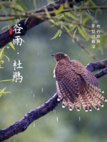 这次，一定要抓住春天