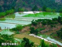 【荐读】向外看，向内求，向前走