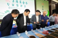 评选出炉！15个品类荣获“襄阳高香茶”金奖荣誉