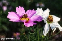 【荐读】有一种智慧，叫遇事不较劲