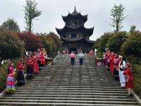 湖南沅陵：漫山吐新绿 茶香飘满城