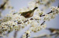 正观漫读丨明媚的春天，让我们这样忙碌起来