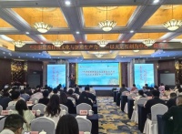 数字技术赋能优秀传统文化 多地作家聚大足共探讨