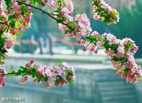 【荐读】优秀的人，都在打磨这4种能力