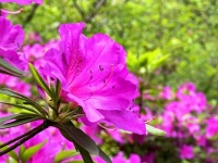 快来闵行这座公园里，找到光学三原色！