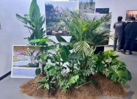 青年海归艺术家在郑州呈现先锋艺术视觉盛宴