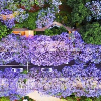 书香花影 爱阅春城