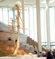 漫步北京城市图书馆“书山” 沉浸体验公共艺术