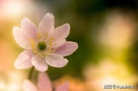 人品差的女人，开口闭口就是这三句话，尽量不要深交