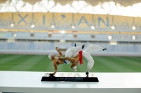 一面一世界 一塑一乾坤