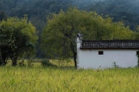 夜读｜正确“讨好自己”，是一种能力