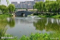 【荐读】不要预支明天的烦恼