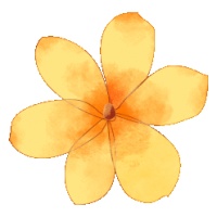 本周末，诗与远方，尽在鼓浪屿……