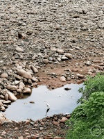 “春影”（363） | 上游主题摄影征稿作品展——韩平作品