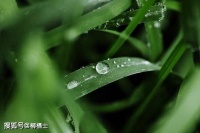 【美文悦读】朱颜辞镜花辞树，春到归时留不住