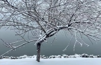 师父传授给我的中天易学生死应期尺的应用