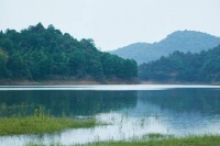 夜读 | 对待小人最明智的方式，不抓不挠