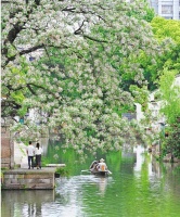 书圣故里的春日画卷