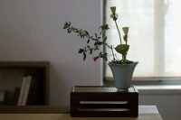 夜读｜如果40岁的你还处于这几种状态，就要注意了