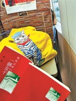 像你这样的一个女孩