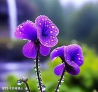 【荐读】生活告诉我们这几个真相