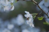 夜读｜不是所有事物都能双向奔赴！越是优秀，讨厌你的人越多