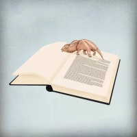 好好说话，让写作回归生活