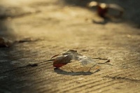 夜读 | 不想成为“油王”？多做这事给自己“去油腻”！